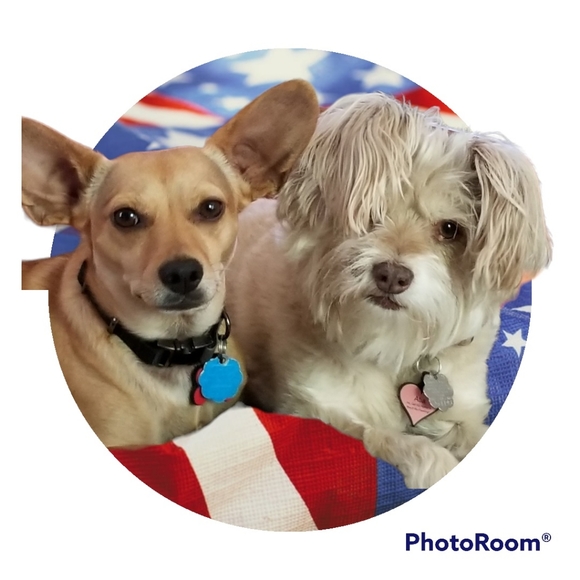 Meet The Posher!! - Picture 5 of 8